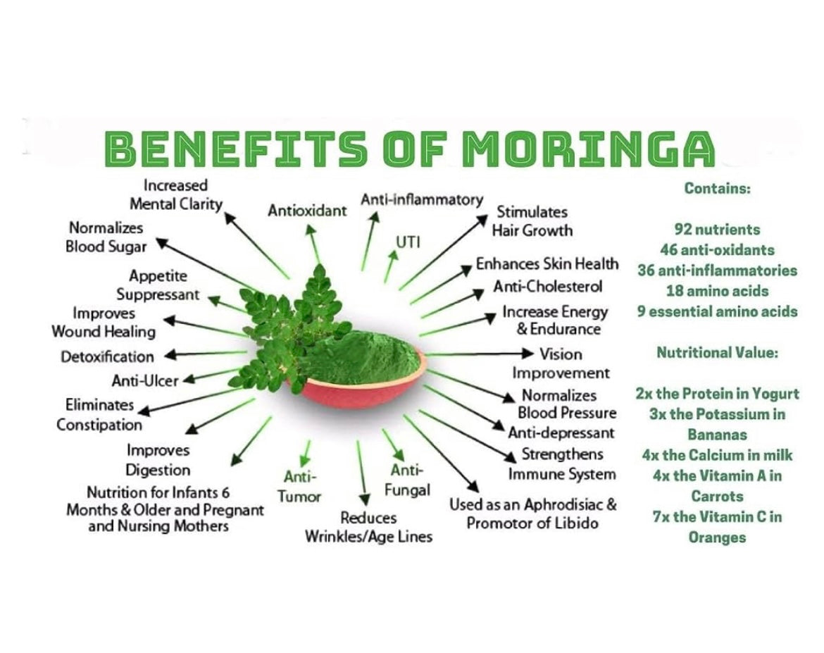 Moringa Powder